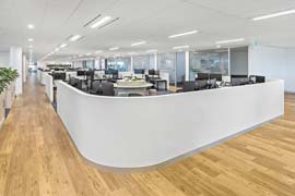 Low curved wall open plan fitout