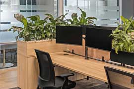 Workstation living plant divider