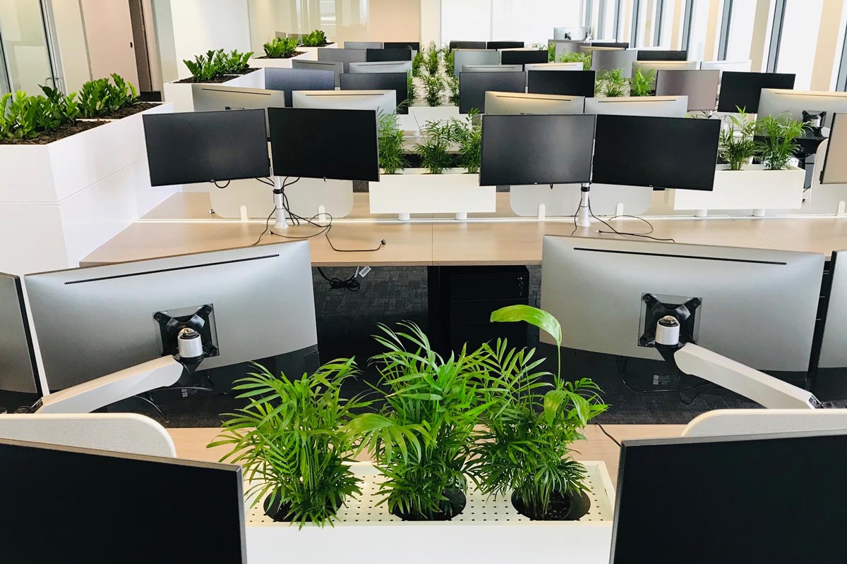 living plant office partitions
