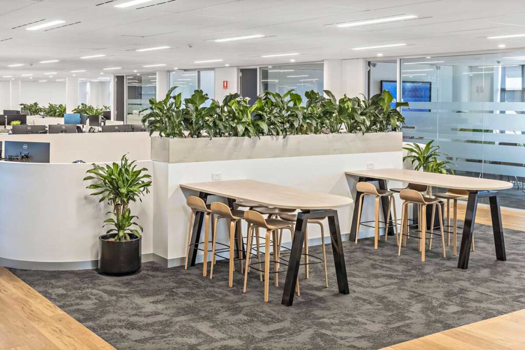 office plant dividers