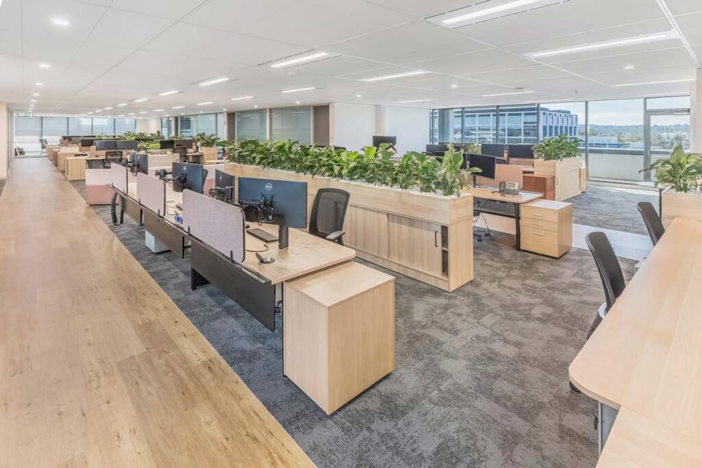 open plan fitout with plant dividers