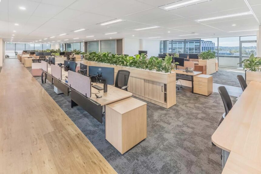 open plan fitout with plant dividers